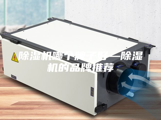 除湿机哪个牌子好—除湿机的品牌推荐