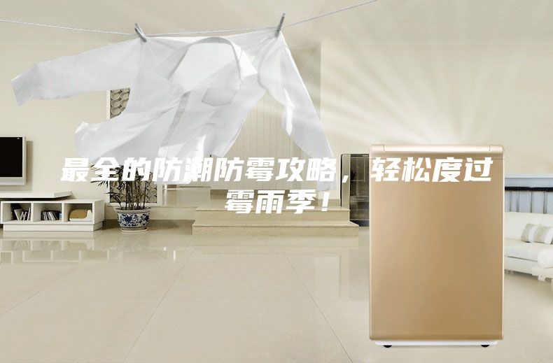 最全的防潮防霉攻略，轻松度过霉雨季！