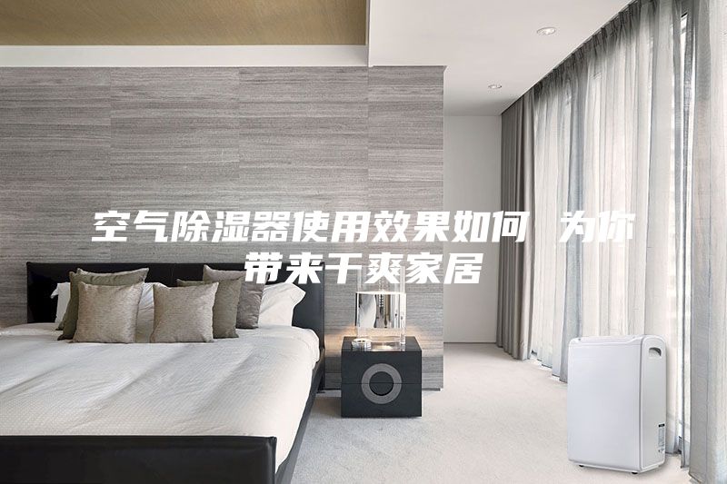 空气除湿器使用效果如何 为你带来干爽家居