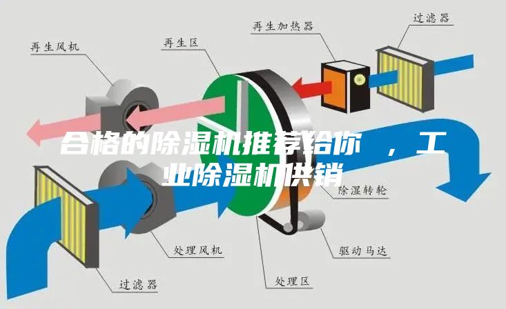合格的除湿机推荐给你 ，工业除湿机供销