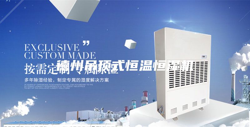 德州吊顶式恒温恒湿机