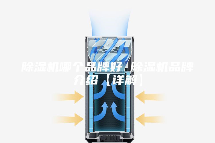 除湿机哪个品牌好 除湿机品牌介绍【详解】