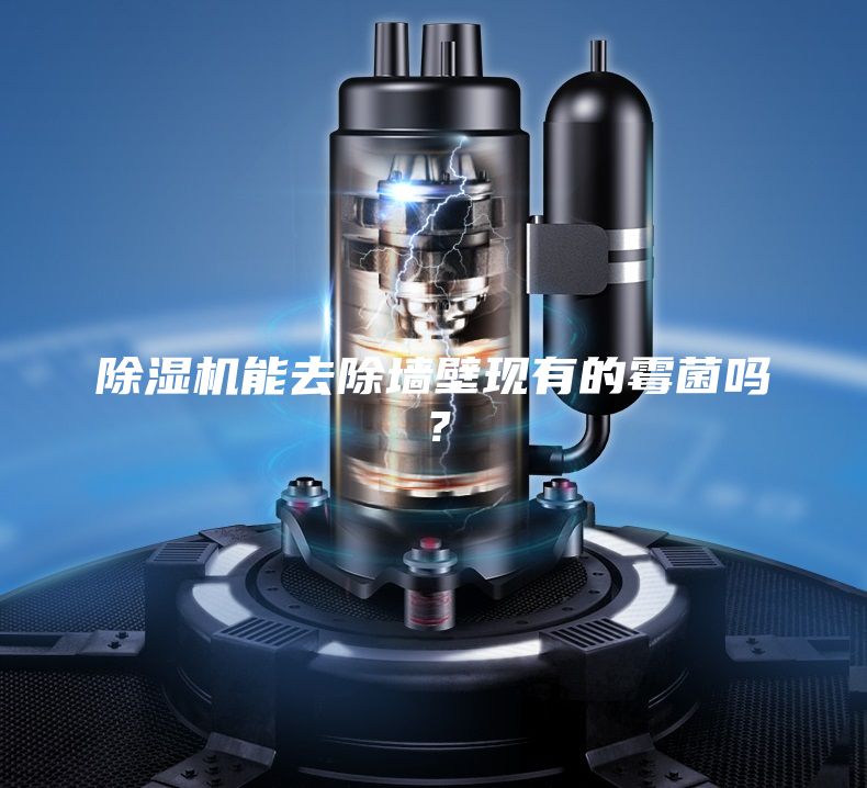 除湿机能去除墙壁现有的霉菌吗？