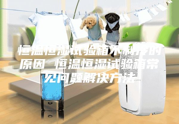 恒温恒湿试验箱不制冷的原因 恒温恒湿试验箱常见问题解决方法
