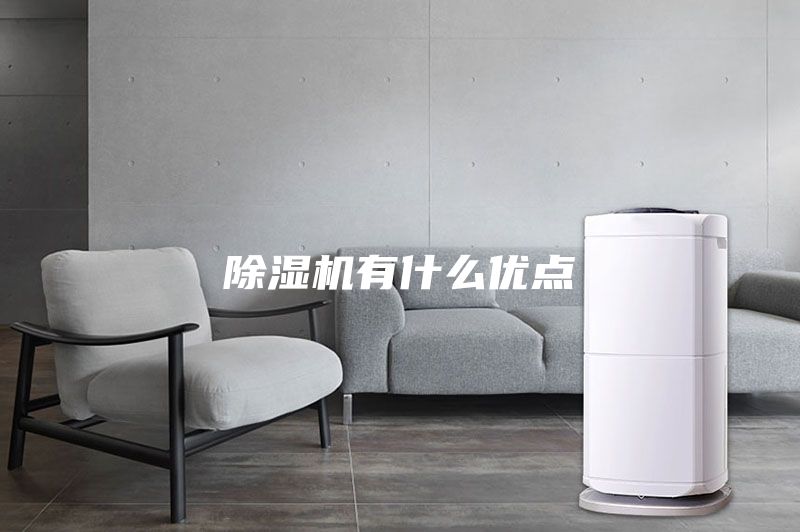 除湿机有什么优点