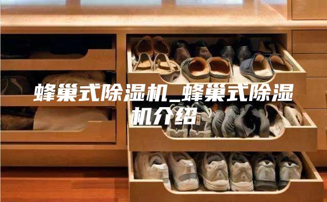 蜂巢式除湿机_蜂巢式除湿机介绍