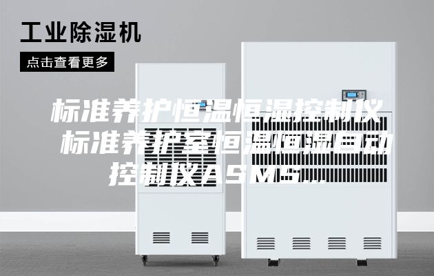 标准养护恒温恒湿控制仪 标准养护室恒温恒湿自动控制仪ASMS...