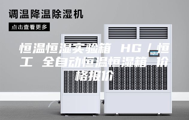 恒温恒湿实验箱 HG／恒工 全自动恒温恒湿箱 价格报价