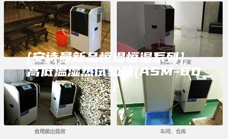 [安诗曼新品恒温恒湿系列]  高低温湿热试验箱(ASM-80)