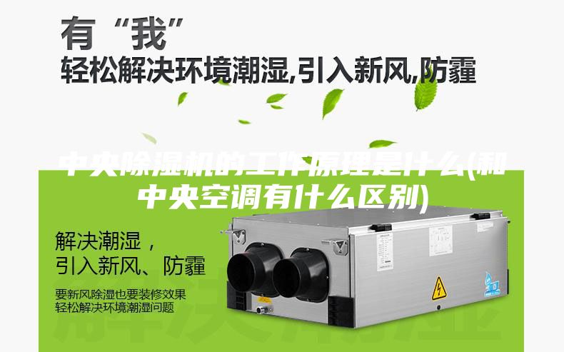 中央除湿机的工作原理是什么(和中央空调有什么区别)