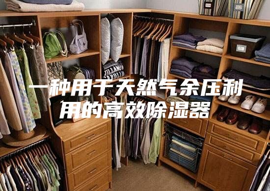 一种用于天然气余压利用的高效除湿器