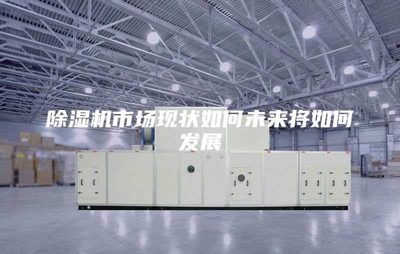 除湿机市场现状如何未来将如何发展