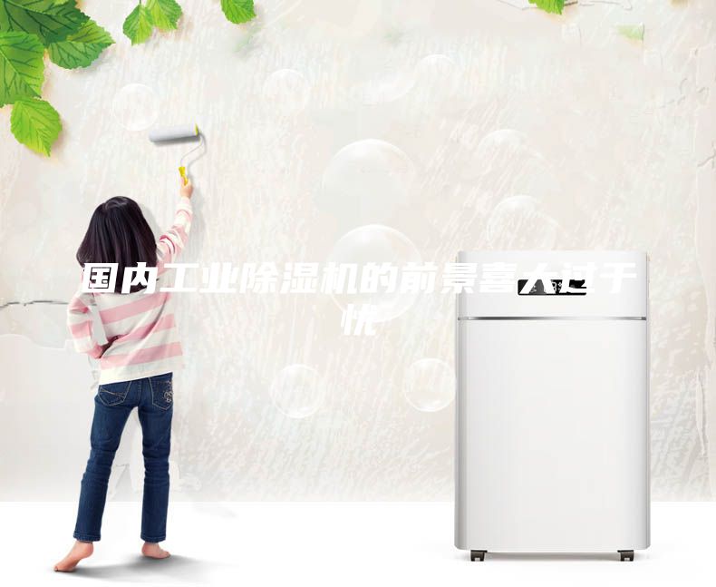 国内工业除湿机的前景喜大过于忧