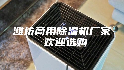 潍坊商用除湿机厂家 欢迎选购