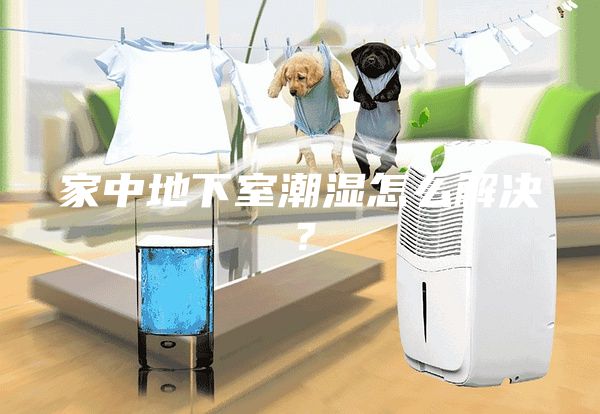 家中地下室潮湿怎么解决？