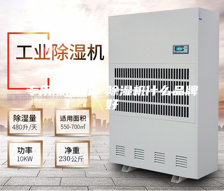 专用除湿机，除湿机什么品牌好
