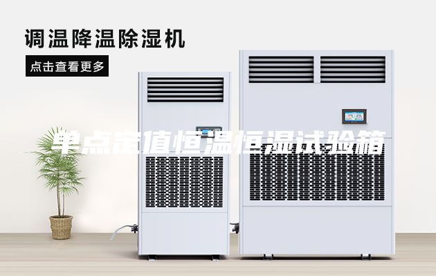 单点定值恒温恒湿试验箱
