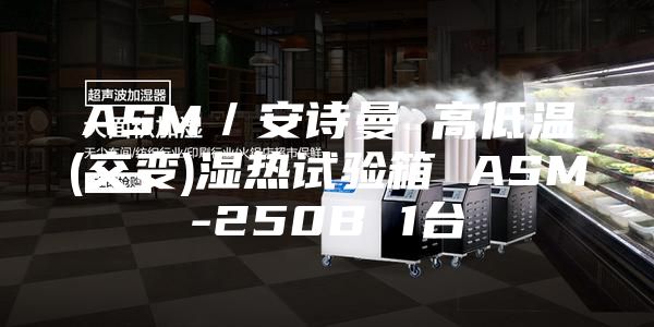 ASM／安诗曼 高低温(交变)湿热试验箱 ASM-250B 1台