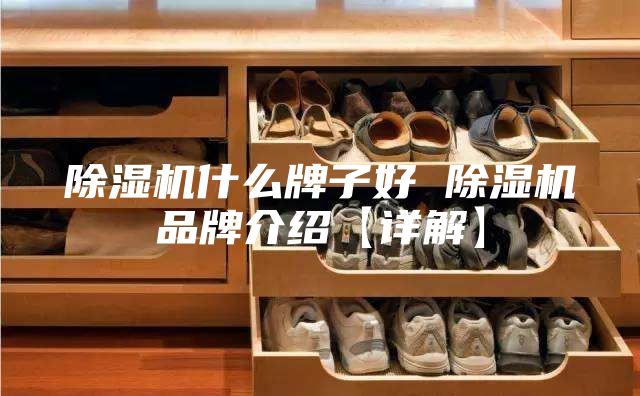 除湿机什么牌子好 除湿机品牌介绍【详解】