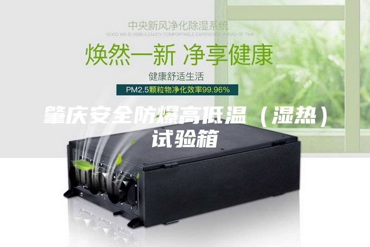 肇庆安全防爆高低温（湿热）试验箱