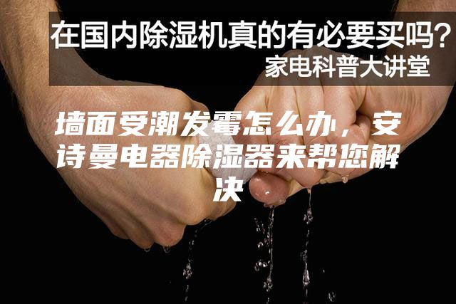 墙面受潮发霉怎么办，安诗曼电器除湿器来帮您解决