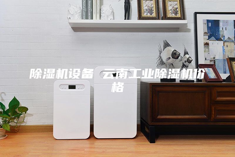 除湿机设备 云南工业除湿机价格