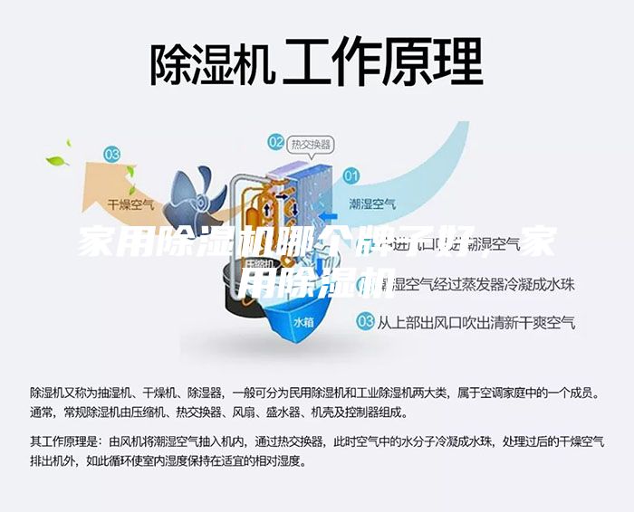 家用除湿机哪个牌子好，家用除湿机