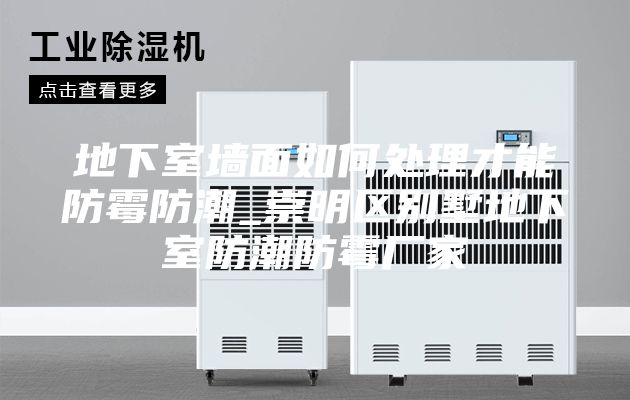 地下室墙面如何处理才能防霉防潮_崇明区别墅地下室防潮防霉厂家