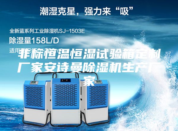 非标恒温恒湿试验箱定制厂家安诗曼除湿机生产厂家