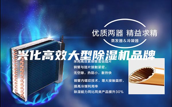 兴化高效大型除湿机品牌