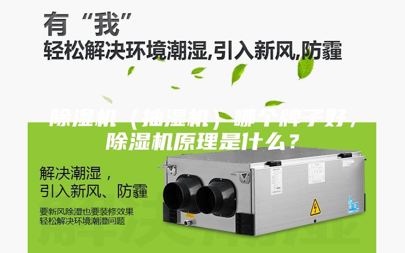 除湿机（抽湿机）哪个牌子好，除湿机原理是什么？