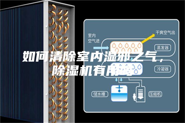 如何清除室内湿邪之气，除湿机有用吗