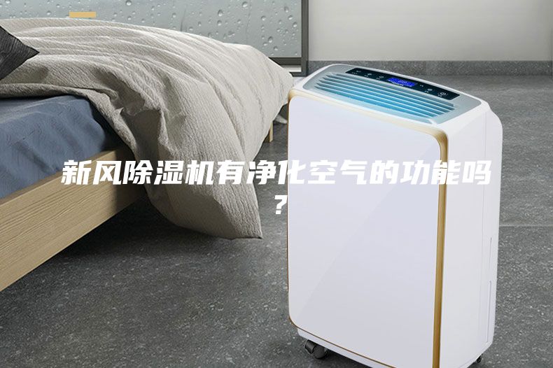 新风除湿机有净化空气的功能吗？
