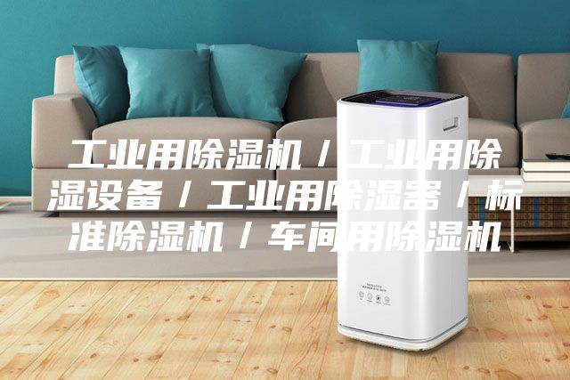 工业用除湿机／工业用除湿设备／工业用除湿器／标准除湿机／车间用除湿机