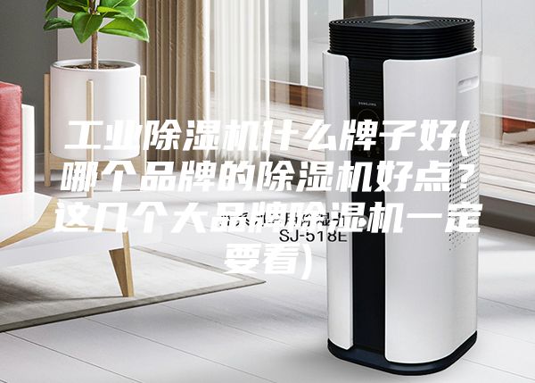 工业除湿机什么牌子好(哪个品牌的除湿机好点？这几个大品牌除湿机一定要看)