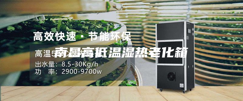 南昌高低温湿热老化箱