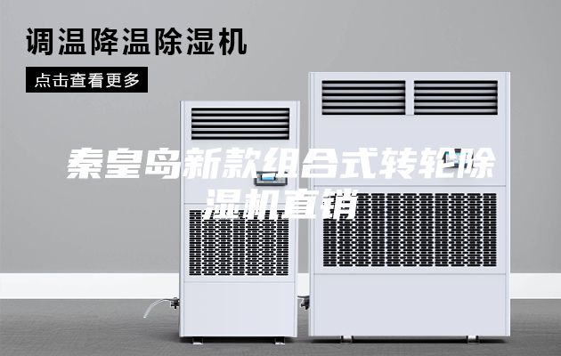 秦皇岛新款组合式转轮除湿机直销