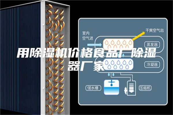 用除湿机价格食品厂除湿器厂家