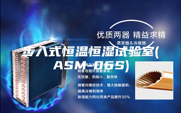 步入式恒温恒湿试验室(ASM-06S)