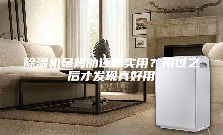 除湿机是鸡肋还是实用？用过之后才发现真好用
