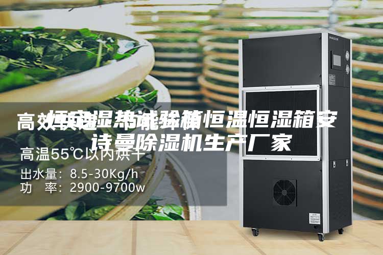 恒定湿热试验箱恒温恒湿箱安诗曼除湿机生产厂家