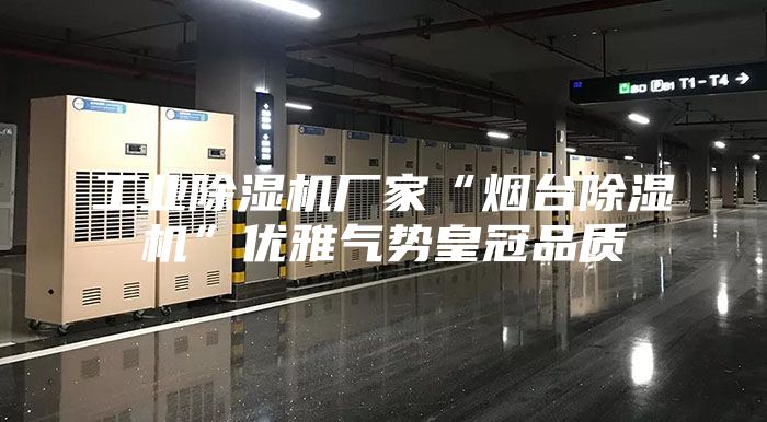工业除湿机厂家“烟台除湿机”优雅气势皇冠品质