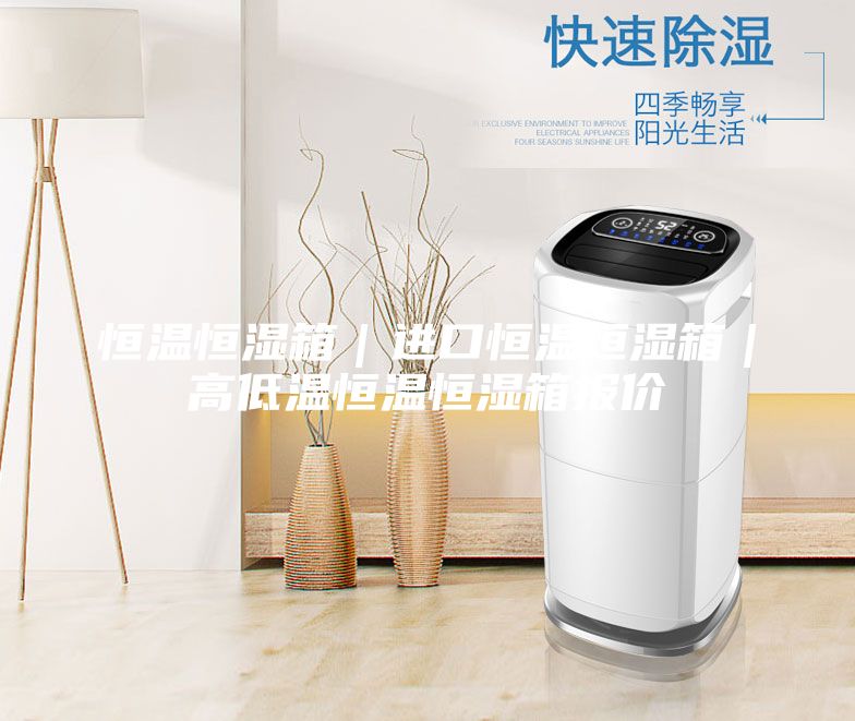 恒温恒湿箱｜进口恒温恒湿箱｜高低温恒温恒湿箱报价