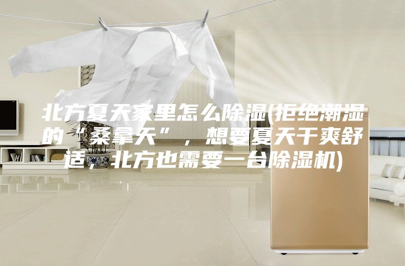 北方夏天家里怎么除湿(拒绝潮湿的“桑拿天”，想要夏天干爽舒适，北方也需要一台除湿机)