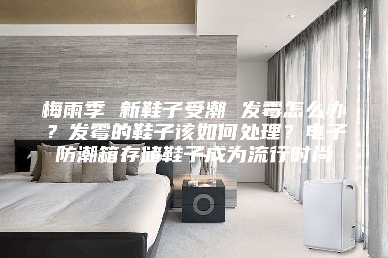 梅雨季 新鞋子受潮 发霉怎么办？发霉的鞋子该如何处理？电子防潮箱存储鞋子成为流行时尚