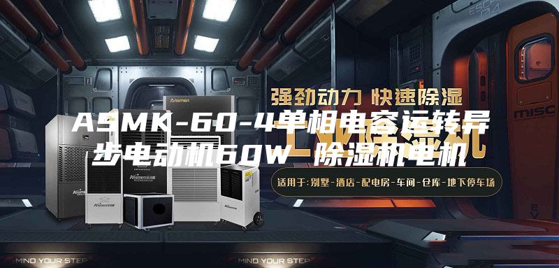 ASMK-60-4单相电容运转异步电动机60W 除湿机电机