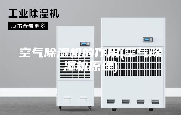 空气除湿机的作用(空气除湿机原理)