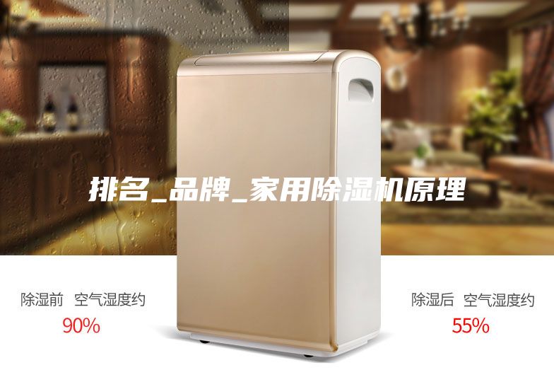 排名_品牌_家用除湿机原理
