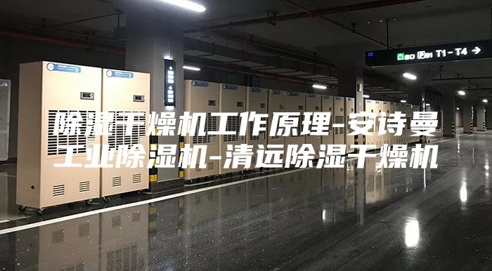 除湿干燥机工作原理-安诗曼工业除湿机-清远除湿干燥机