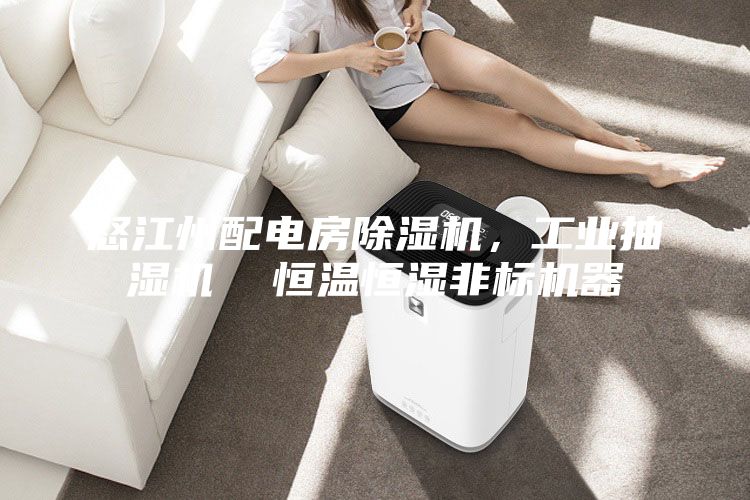 怒江州配电房除湿机，工业抽湿机  恒温恒湿非标机器